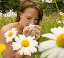 Alergija ljeto u djece, u odraslih, liječenje