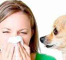Alergije na životinjama, kod djece i odraslih u