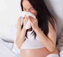 Alergije u trudnoći