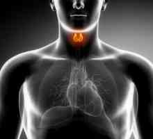 Štitnjače autoimuni tiroiditis što je to