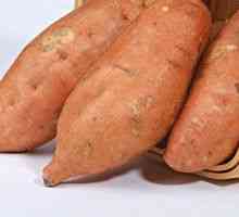 Yam ili slatki krumpir - opis korisnih svojstava, primjena
