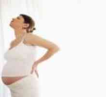 Bol u trtica tijekom trudnoće
