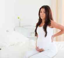 Infekcije donjeg dijela leđa tijekom trudnoće
