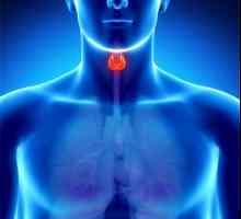 Što znači povećani tiroidni stimulirajući hormon?