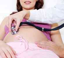 Citomegalovirus i trudnoća - postoji li opasnost za fetus?