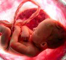 Fetalna hipoksija: simptomi i posljedice