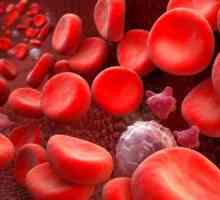 Glikolizirani hemoglobin: kojom brzinom?