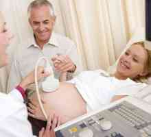 Štucanje u fetus tijekom trudnoće