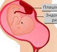 Endometrija tijekom trudnoće, stopa debljine
