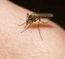 Kako se postupa uboda komaraca?