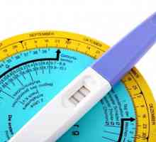 Kako odrediti trajanje ovulacije