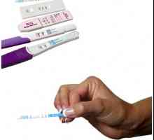 Kako koristiti ovulacije testa