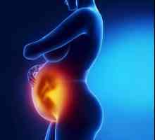 Kako je sazrijevanja posteljice tijekom trudnoće