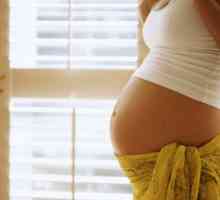 Koja je uloga proginova pri planiranju trudnoće