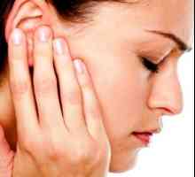 Liječenje narodnih lijekova uši