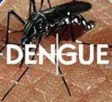 Denga groznica: uzroci, simptomi, liječenje