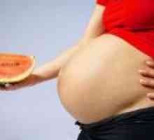Mogu li lubenica tijekom trudnoće?