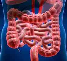 Simptoma opstrukcije crijeva i liječenje