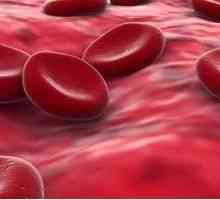 Norma hemoglobina u krvi