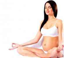 Osjeti žena na 17 tjedana trudnoće, kako se fetus razvija