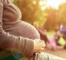 Groznica u trudnoći - uzroci, liječenje