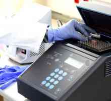 PCR analiza: što je to?