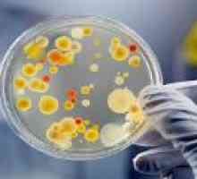 Korisnih bakterija - su oni potrebni?