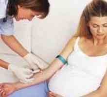 Povišene razine hemoglobina tijekom trudnoće, što to znači?
