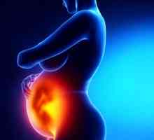 Znakovi propuštenog pobačaja u ranoj trudnoći