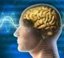 Mehanizmi utjecaja na ljudski mozak Alzheimerove bolesti