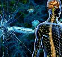 Simptomi i liječenje multiple skleroze