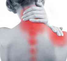 Sindroma vertebralne arterija: Simptomi i liječenje