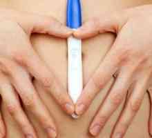 Test za određivanje ovulacije