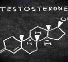 Testosteron - norma i patologija
