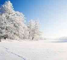 Znanstvenici su otkrili što je vrijeme više štetan u zimi!