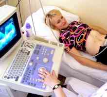 Karlica ultrazvuk kod žena: kako se pripremiti