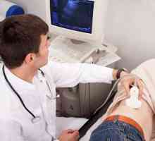Bubrežna ultrazvuk: priprema za proučavanje