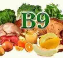 Koje namirnice sadrže folnu kiselinu? (Vitamina B9)