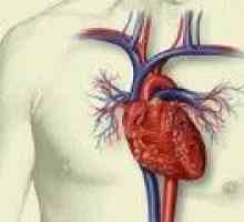 Obnavljanje tkiva srca nakon infarkta miokarda