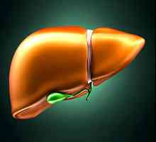 Masne jetre: Simptomi i liječenje