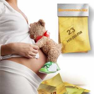 23 Tjedana trudnoće: što se događa s djetetom i mama