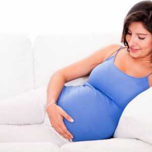 30 Tjedana trudnoće: Što se događa