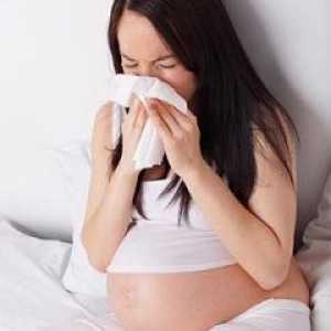 Alergije u trudnoći