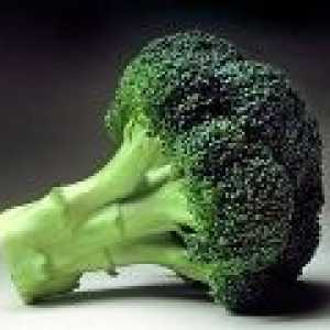 Brokula - opis korisnih svojstava, primjena