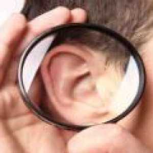 Kuhati u uhu: simptomi, uzroci, liječenje