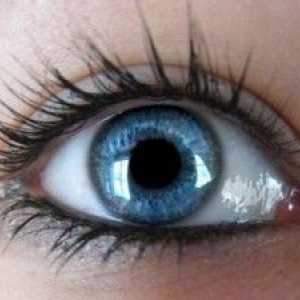 Hemophthalmus - voditi brigu o vašim očima