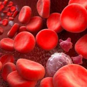 Glikolizirani hemoglobin: kojom brzinom?