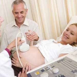 Štucanje u fetus tijekom trudnoće