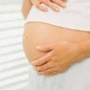 Kako se žensko tijelo u trudnoći?