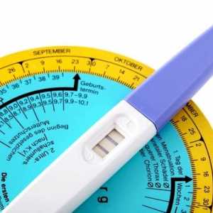 Kako odrediti trajanje ovulacije